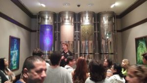 A Heineken Experience akcióban, Amszterdam - Kocsmaturista